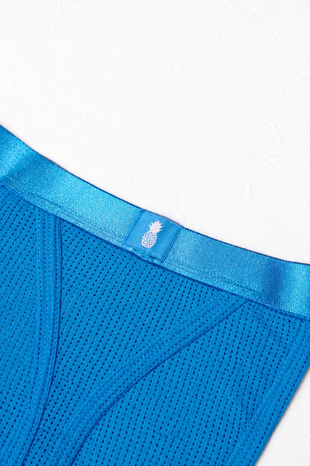Now-or-Never Mesh Thong - Bold Blue