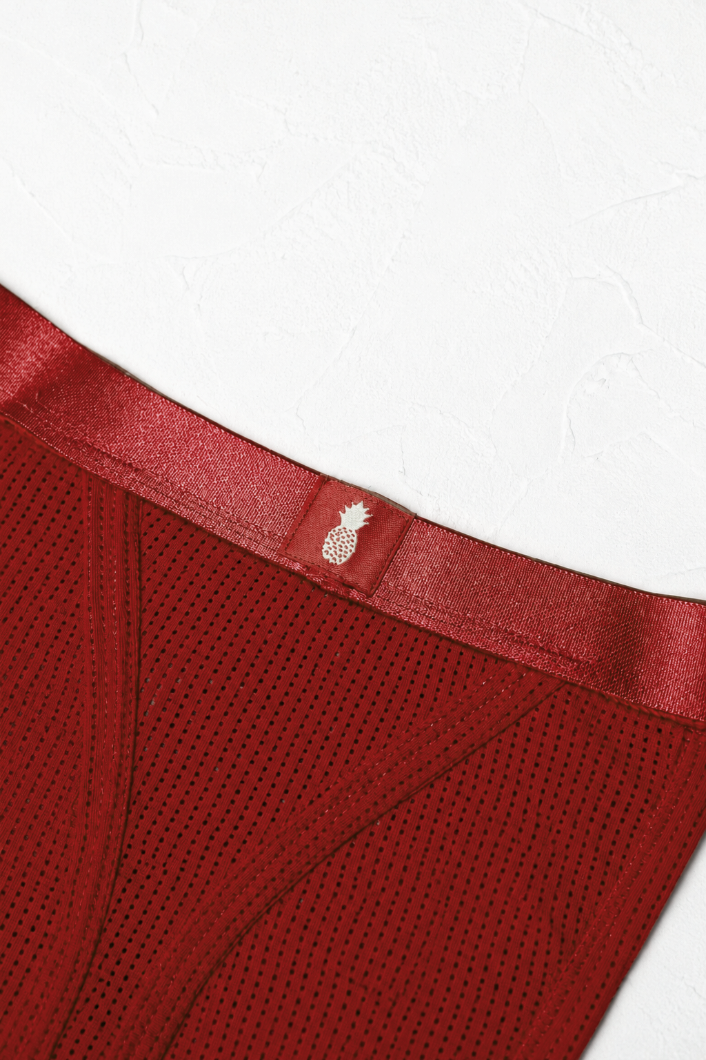 Now-or-Never Mesh Thong - Cherry