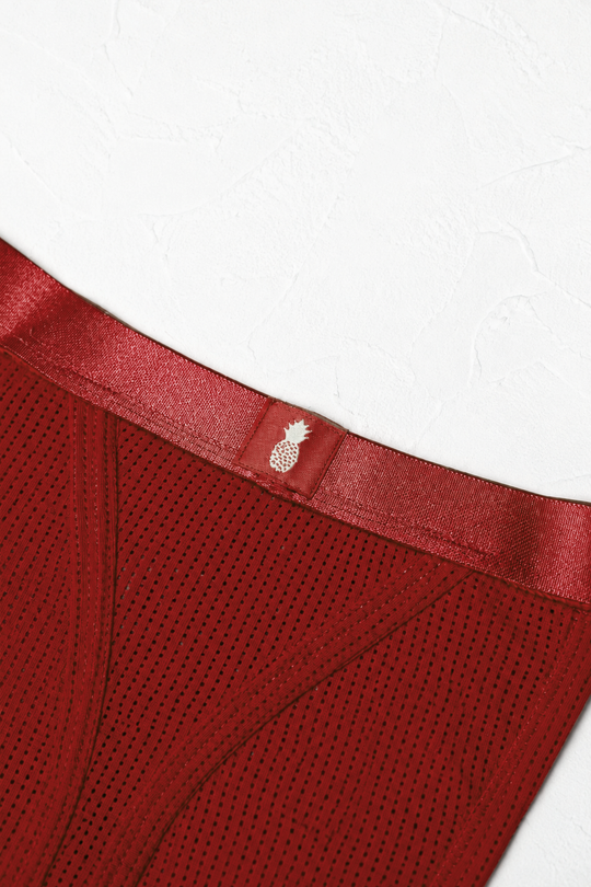 Now-or-Never Mesh Thong - Cherry