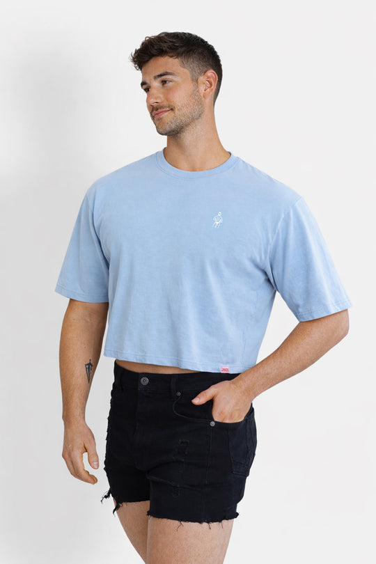 Oversized Relaxed Crop Top - Baby Blue