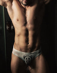 Lovesick Briefs - Rawr
