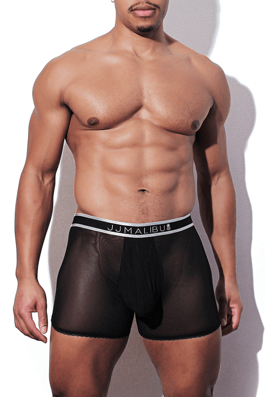 Stealthy Sheer Mesh Boxer Briefs - Black - JJ Malibu 